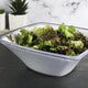 Harfield Acrylic White Curved Display Bowl 2.3Ltr / 24cm x 24cm x 9cm (793)