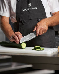 Victorinox Plastic And Fibrox Handles