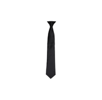 Ties & Accessories