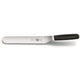Victorinox Plastic Handle Palette Cranked 25Cm