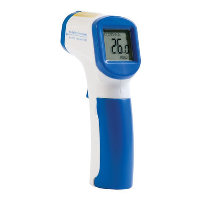 Thermometer Mini Raytemp Infared