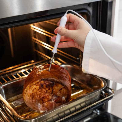 Thermometer Penetration Probe For Eco Temp