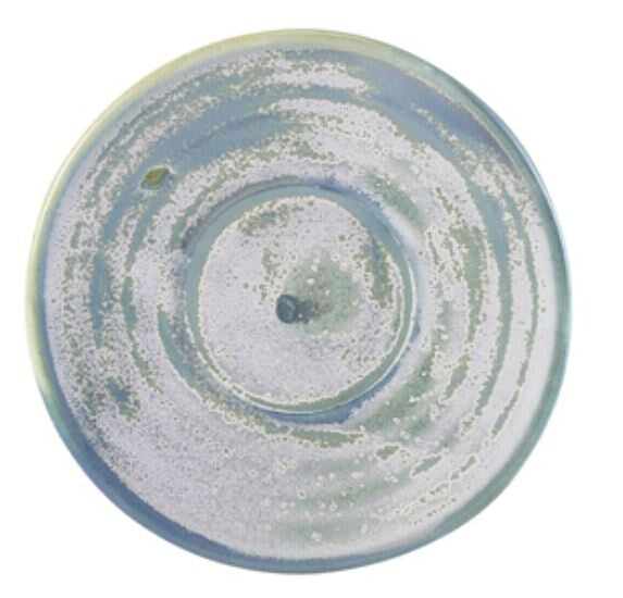 Terra Porcelain Saucer 11.5cm (Box Of 6)