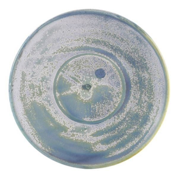 Terra Porcelain Saucer 14.5cm (Box Of 6)