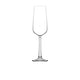 Fully Tempered Colmar Champagne Flute 22cl/ 7.7Oz (Box Of 6)