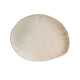 Sahara Tone Oval Plate 30cm (Box Of 6)